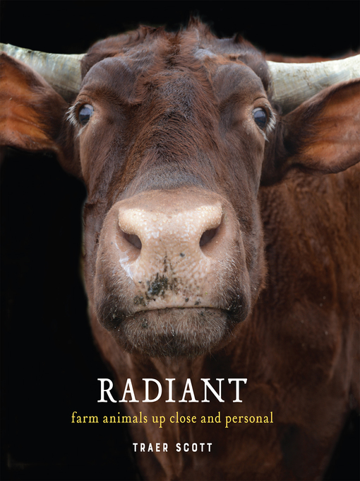 Radiant: Farm Animals Up Close and Personal 책표지